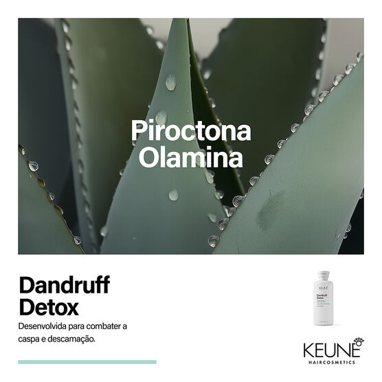 DANDRUFF DETOX DANDRUFF DETOX SHAMPOO